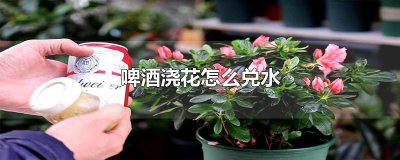 ​啤酒浇花怎么兑水