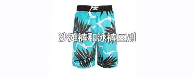 ​沙滩裤和泳裤区别