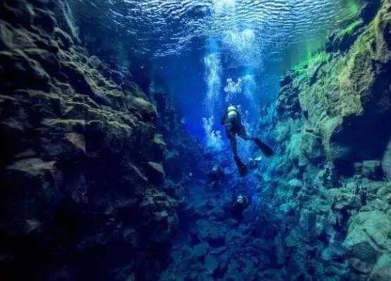 关于海底世界的资料_海洋深度各各水层都有那些生物