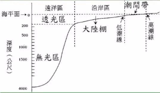 关于海底世界的资料_海洋深度各各水层都有那些生物