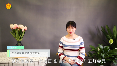 ​见风使陀是什么意思