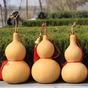 ​葫芦在家中摆放的正确位置图（葫芦挂窗台福禄进家来）