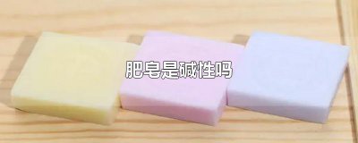 ​肥皂是碱性吗