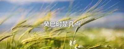 ​癸巳时是几点