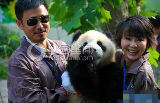 王一楠高鑫有孩子吗 王一楠高鑫离婚了吗
