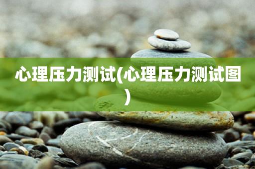 心理压力测试(心理压力测试图)