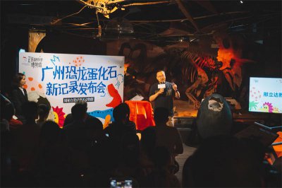 ​坐标广州！中学生发现鳄类蛋化石