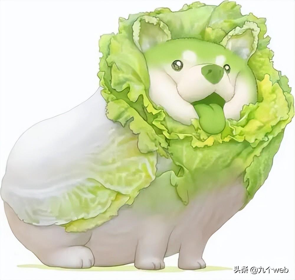 卷是什么意思网络用语（卷心菜是什么意思网络用语）