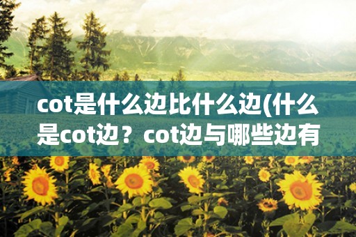 cot是什么边比什么边(什么是cot边？cot边与哪些边有关？)