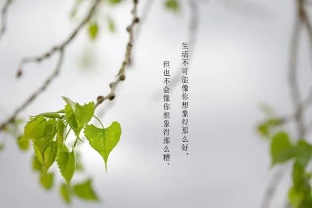 兴趣爱好(深谈兴趣爱好的意义)