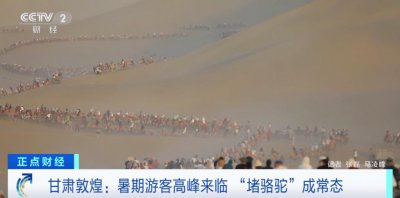 ​又双叒叕“堵骆驼”了！