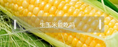 ​生玉米能吃吗