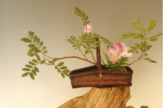 带花泥的鲜花怎么保养(图3)