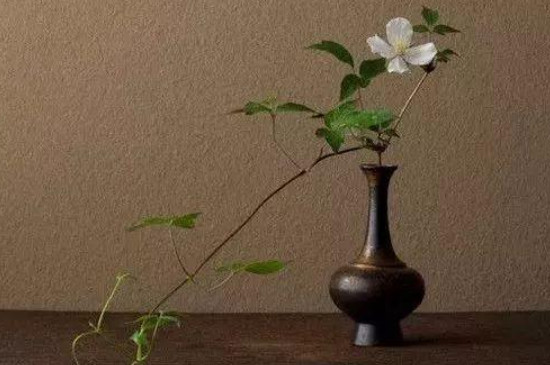 带花泥的鲜花怎么保养(图2)