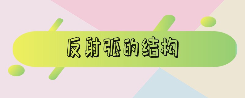 反射弧的结构包括_反射弧的结构图