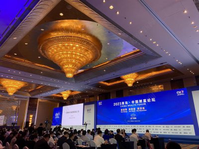 ​青年人的失业率为何持续走高？中国社会科学院原副院长蔡昉回应