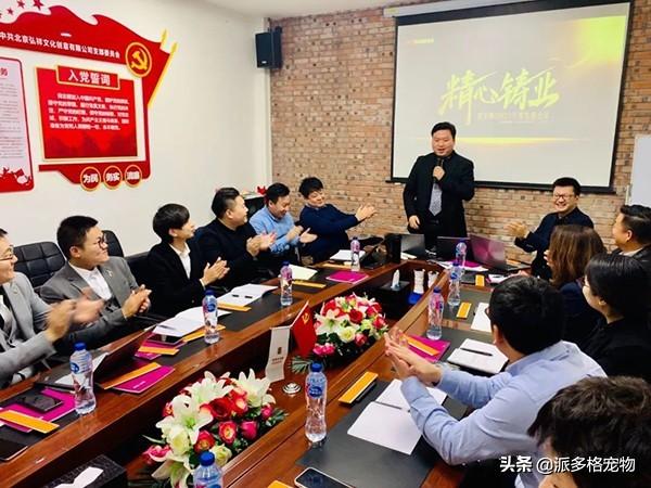 派多格宠物店加盟费多少 派多格全速迈进宠业新十年(2)