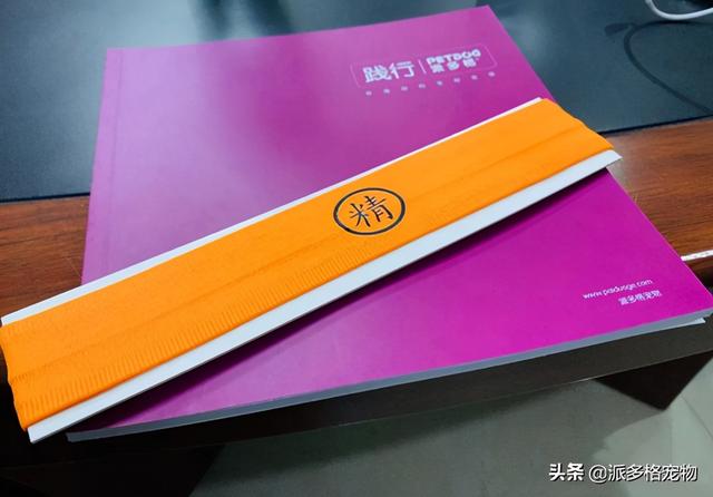 派多格宠物店加盟费多少 派多格全速迈进宠业新十年(3)