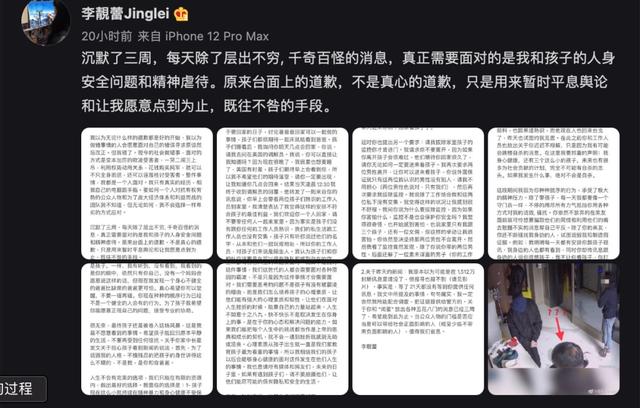 王力宏和李靓蕾怎么走到一起的（王力宏和李靓蕾）(3)