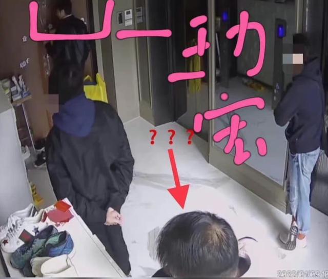 王力宏和李靓蕾怎么走到一起的（王力宏和李靓蕾）(9)
