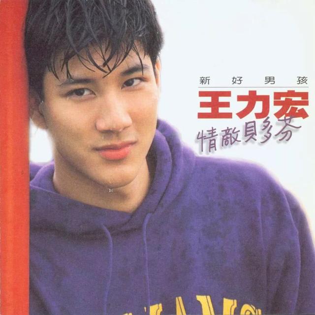 王力宏的十大优点（王力宏是个天才）(3)