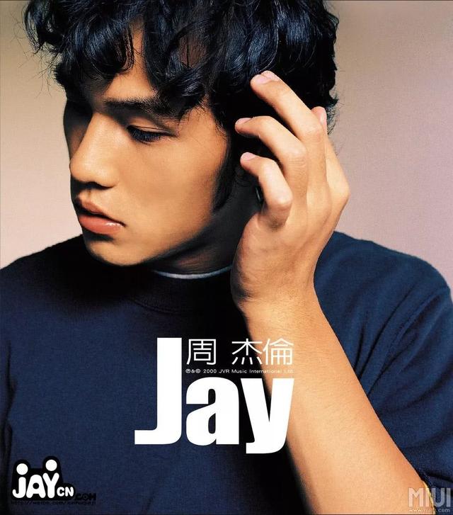 王力宏的十大优点（王力宏是个天才）(6)