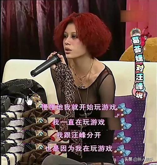 汪峰绯闻大揭秘（汪峰的豪放情史）(12)