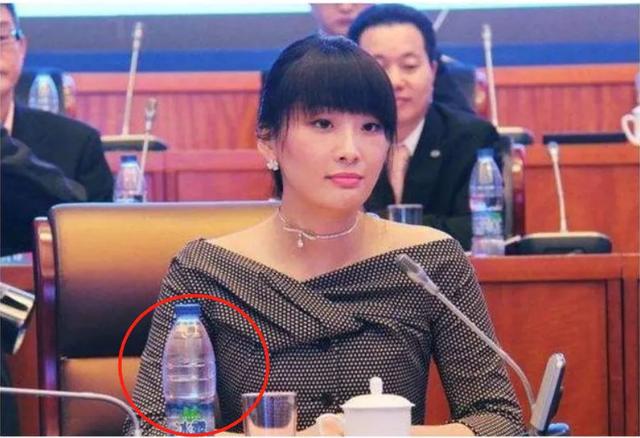 王力宏现在什么情况了（出道几十年没黑料）(24)