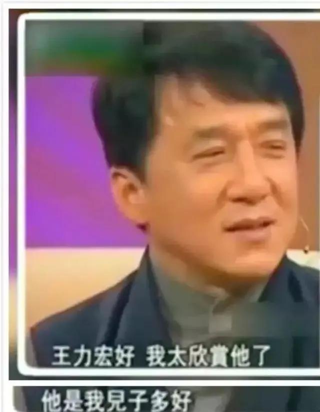 王力宏现在什么情况了（出道几十年没黑料）(14)