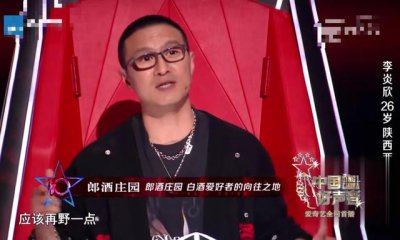 ​汪峰点评好声音选手有多专业（很少转身的汪峰）