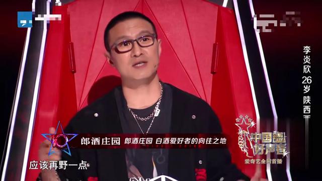 汪峰点评好声音选手有多专业（很少转身的汪峰）(9)