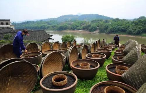 广东菜里的酱油是什么酱油 为什么酱油是粤菜的灵魂(2)