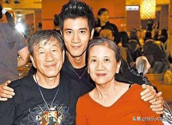 王力宏年轻有多帅（王力宏家世有多显赫）(7)