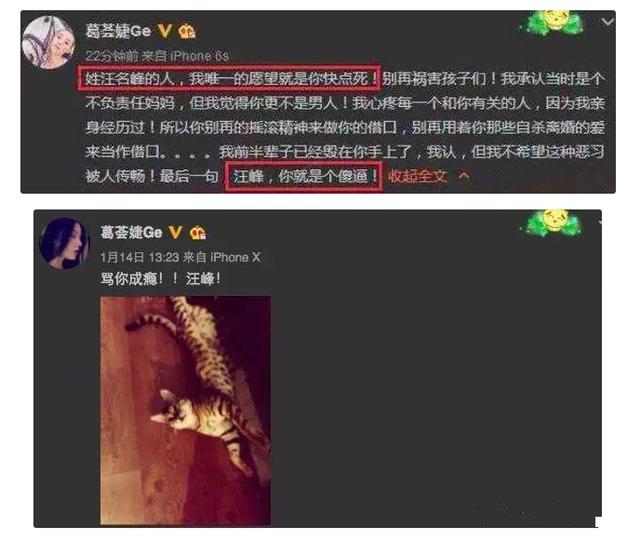 汪峰的二任老婆现状（四任妻子无缝衔接）(10)