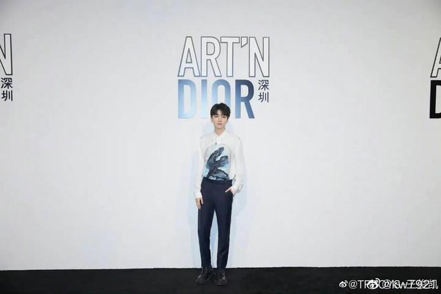 王俊凯和dior的合作怎么样（DIOR品牌大使王俊凯）(9)