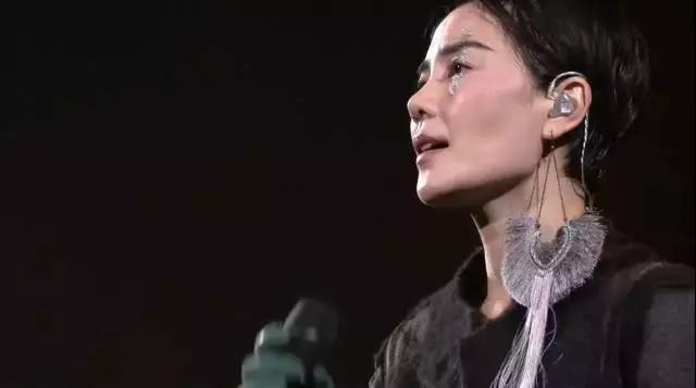 王菲幻乐一场会到场明星（王菲花3000万打造的）(12)