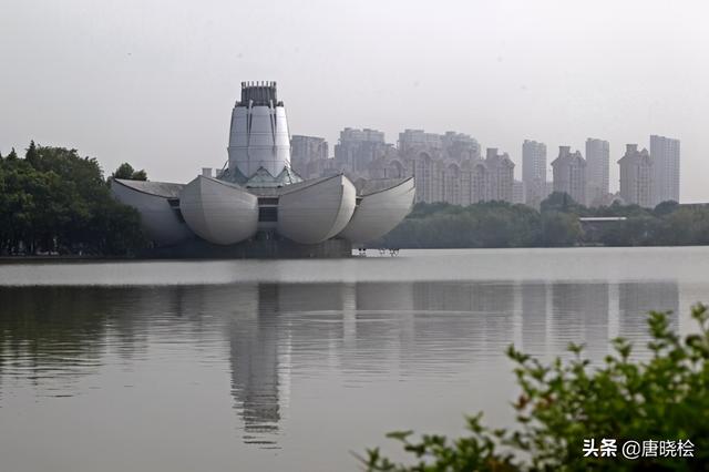嘉兴景区十大景点（嘉兴十大旅游景点）(32)