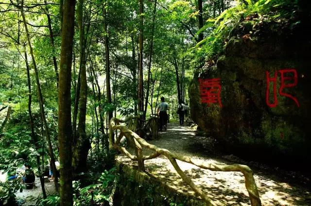 韶关十大旅游景点排名第一（你所不了解的神奇都在这里了）(4)