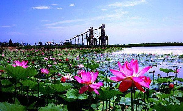 宁夏最佳旅游景点旅游攻略（宁夏十大旅游景区）(7)