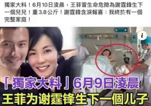 王菲产子是不是真的（对造谣王菲生子一事进行维权）(2)