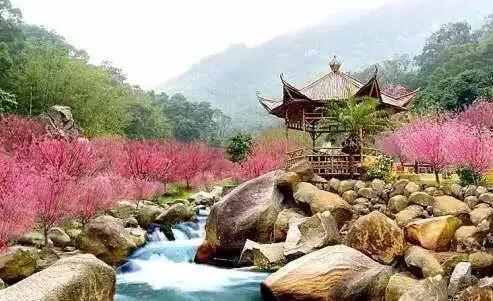 泰山旅游必备路线图（泰山旅游路线攻略）(21)