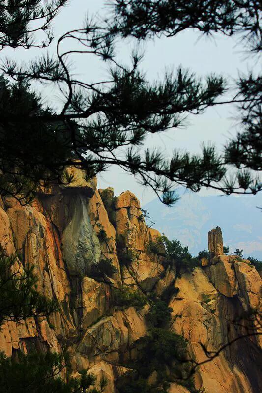 泰山旅游必备路线图（泰山旅游路线攻略）(28)