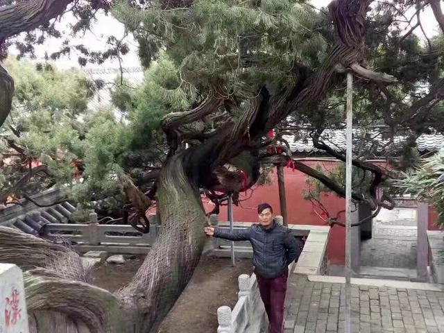 泰山旅游必备路线图（泰山旅游路线攻略）(8)