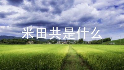 ​米田共是什么意思（米田共的含义）