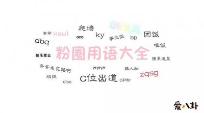 ​饭圈用语zl什么意思?（关于饭圈用语zl的意思）