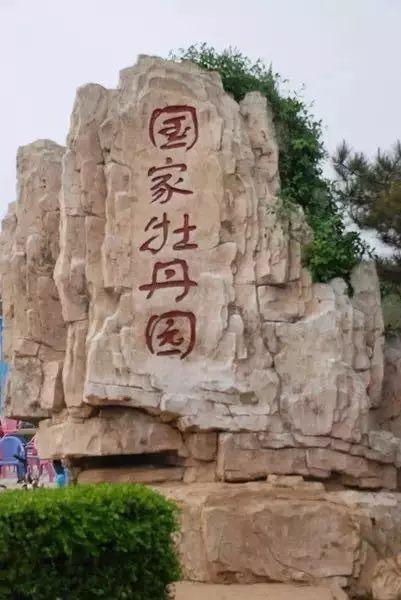 洛阳一日游最美旅游景点（史上最全洛阳旅游精品攻略）(25)
