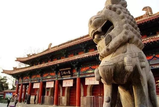 洛阳一日游最美旅游景点（史上最全洛阳旅游精品攻略）(24)