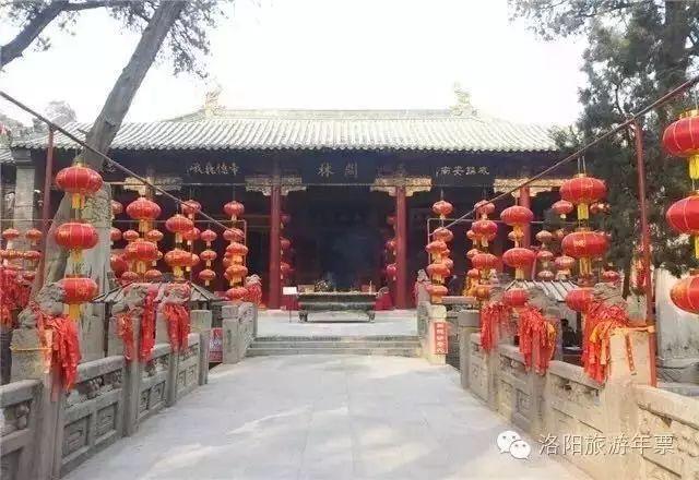 洛阳一日游最美旅游景点（史上最全洛阳旅游精品攻略）(6)