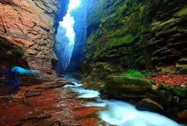 洛阳一日游最美旅游景点（史上最全洛阳旅游精品攻略）(33)