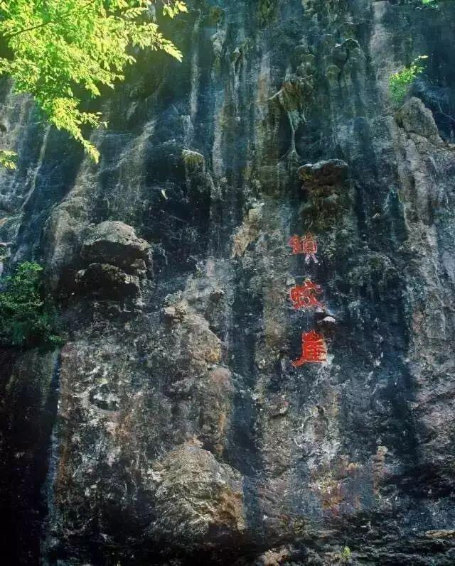 洛阳一日游最美旅游景点（史上最全洛阳旅游精品攻略）(29)